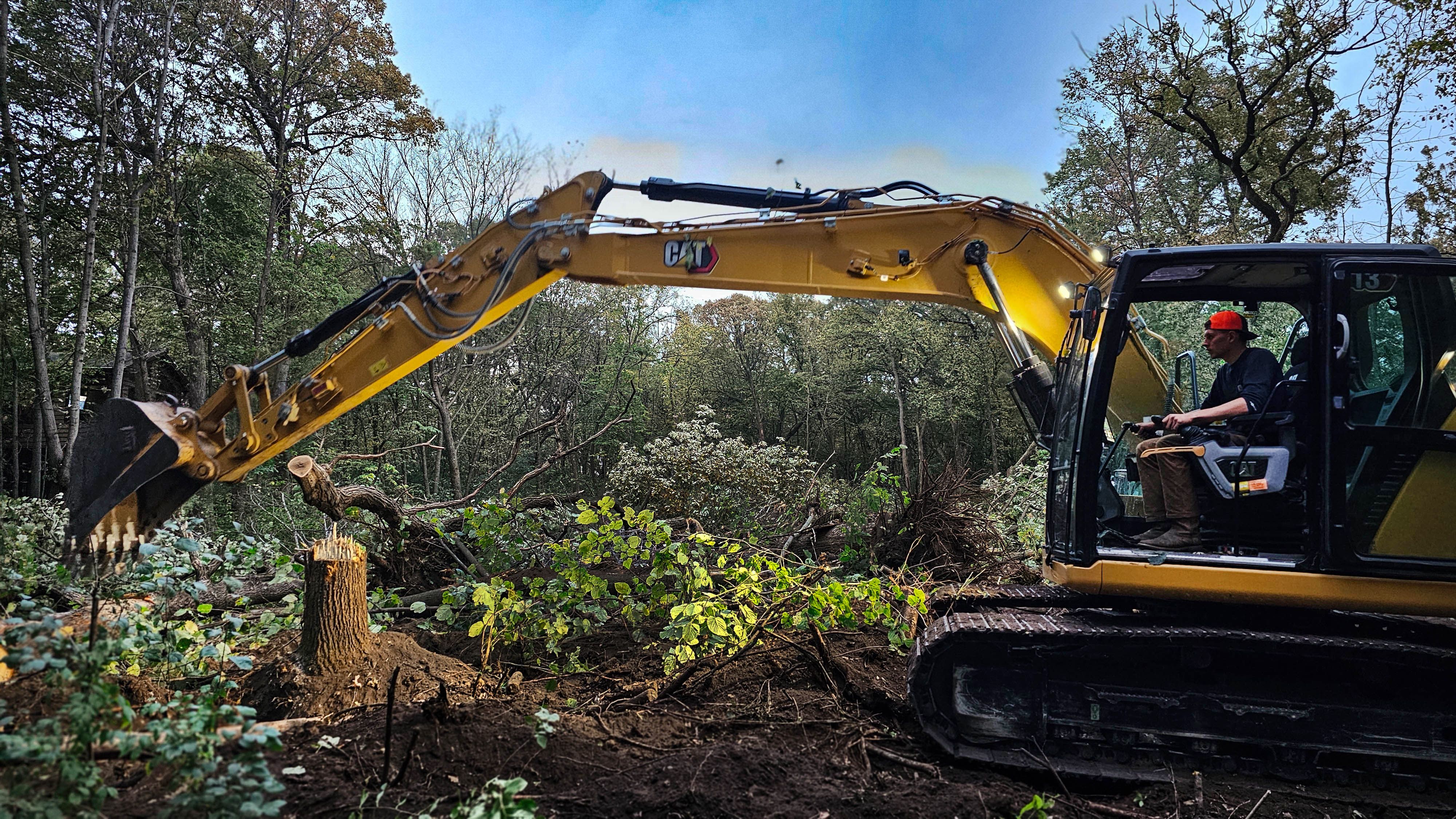 Land clearing in progress