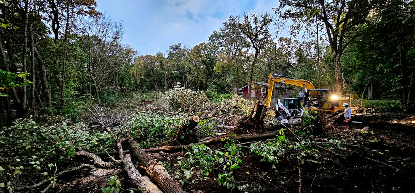 Cleared land result